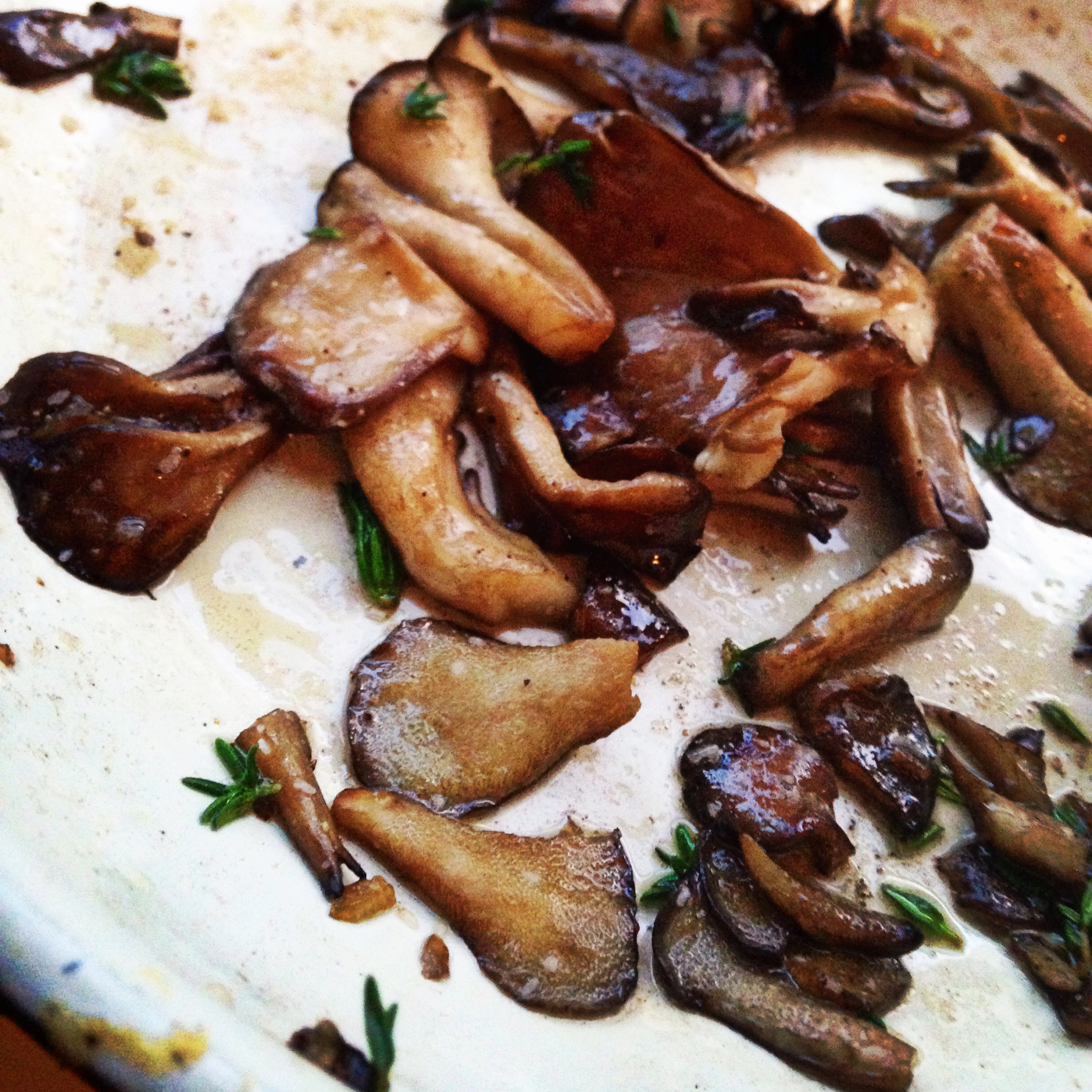 Pan Fried Oyster Mushrooms on an English Muffin 