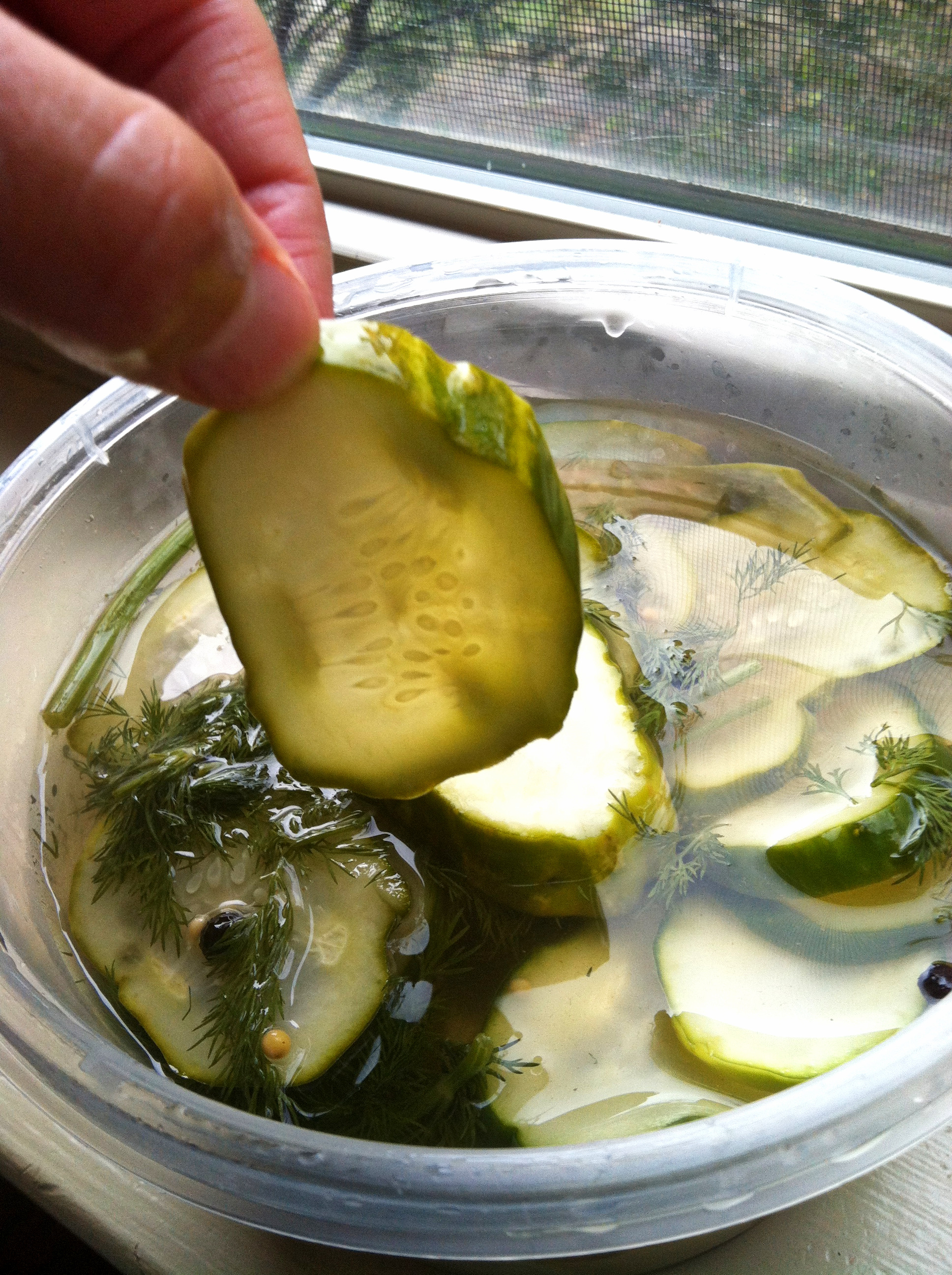 Homemade Garlic-Dill Pickles